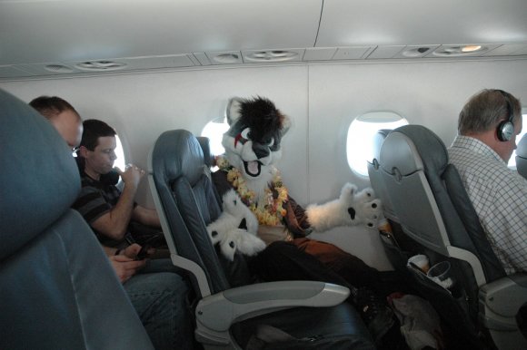 amran-1233790543.amran_01