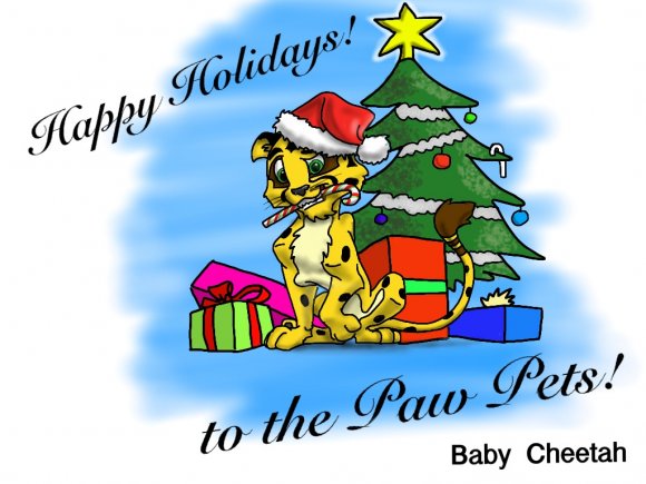 Baby_Cheetah-PawPetHoli