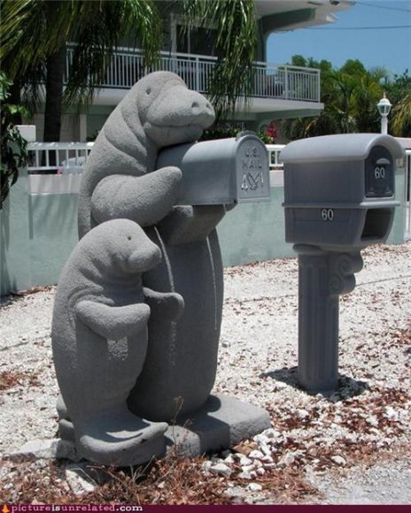 Anonymous-f64ca45a-e3c6-4b3e-8e9b-3d01c22e1925