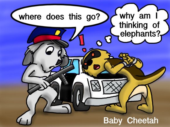 Baby_Cheetah-poinkArrested