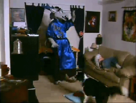 Fox-Albi-Azul-dragon