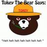 Anonymous-Tokey_the_bear