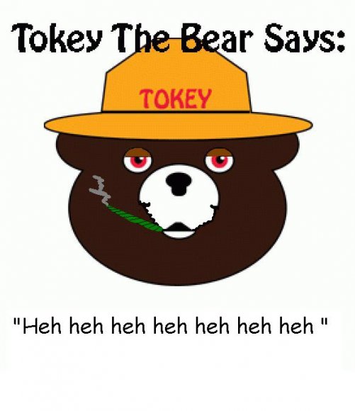 Anonymous-Tokey_the_bear