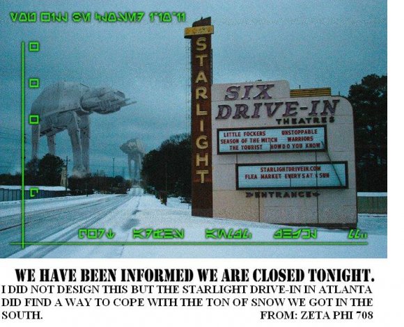 Zeta_Phi_708-PAWPET_EMPIRE