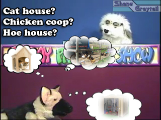 Shane_Graytail-cathouse