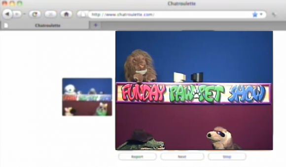 CrazyHusky-chatchannel