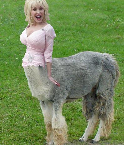 Gerald-529c1fe7-6674-4c3d-8e29-1eeb344f5172