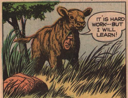 JonathanPaula-384f8ebc-bdb6-433f-a7f7-a14bf83b4bb1