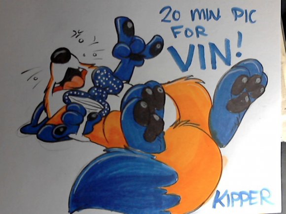 Kipper-VINPIC
