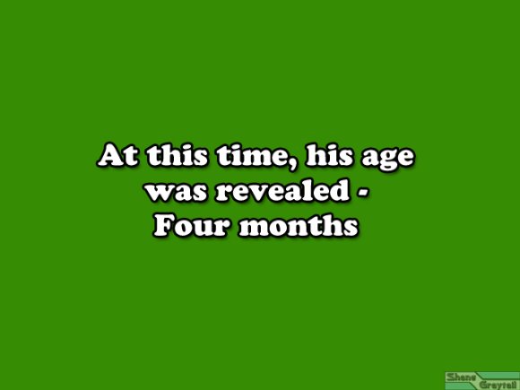 Shane_Graytail-band02