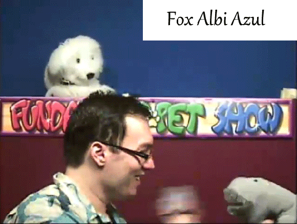 Fox-Albi-Azul-Slap3