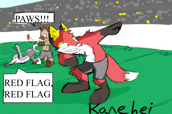 Kanehei-Pawpet_superbowl