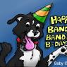 Baby_Cheetah-banditBday1