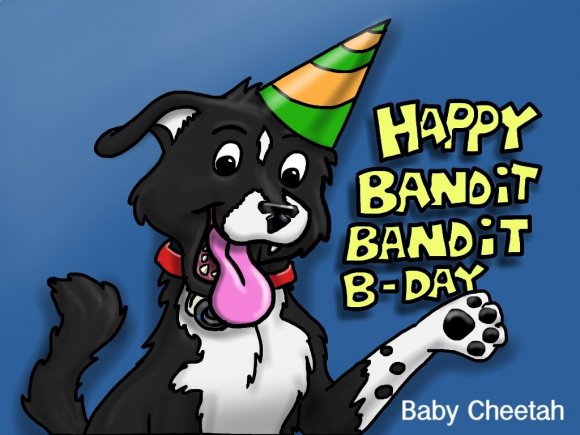 Baby_Cheetah-banditBday1