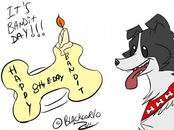 Blackcorvo-Blackcorvo_Bandit_day