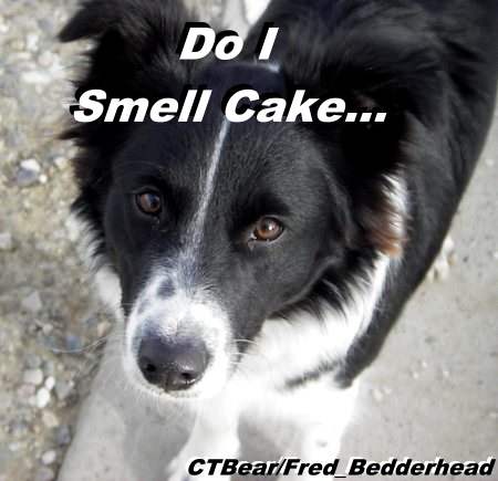 Fred_Bedderhead-Bandit