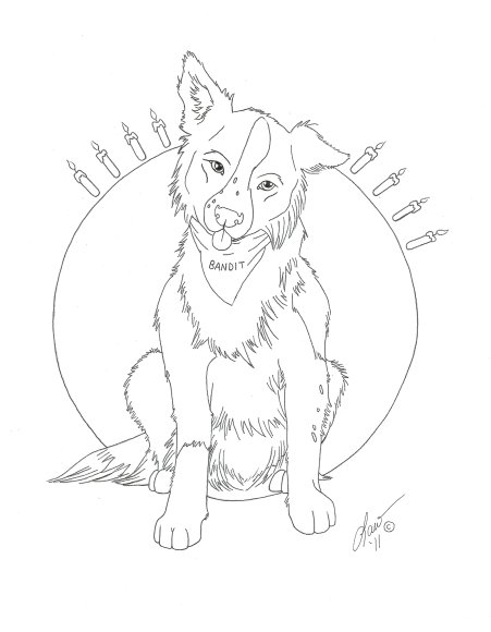 Lawrence_Correia-Pawpets49-Bandit