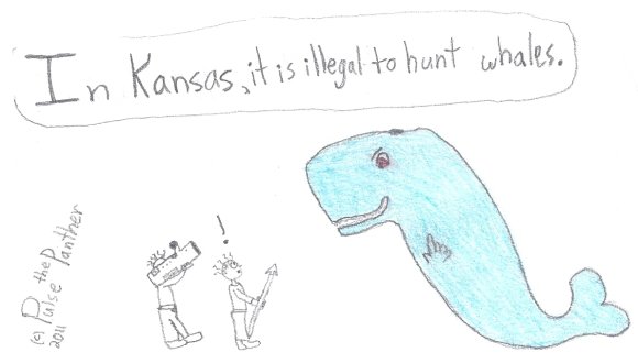 Pulse_the_Panther-February_13_FPS