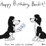 Rose_Hexwit-Bandit_Birthday