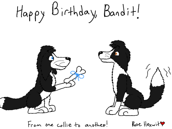Rose_Hexwit-Bandit_Birthday
