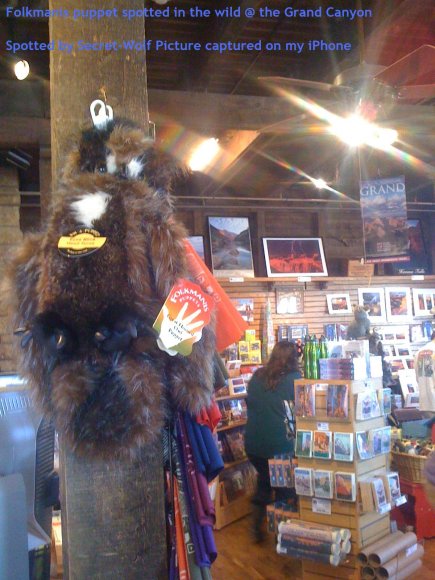 Secret-Wolf-folkmanis_in_the_wild