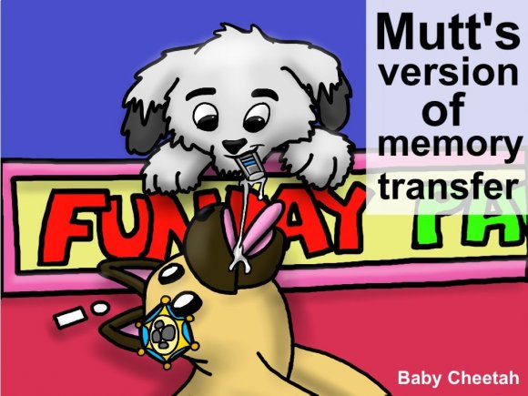 Baby_Cheetah-Mutts_usb