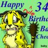 Baby_Cheetah-cheetah_bday
