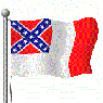 Jager_Stein-ConfederateFlag2006Animated