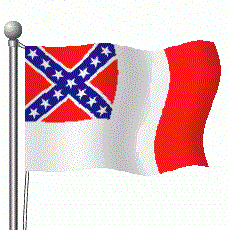 Jager_Stein-ConfederateFlag2006Animated