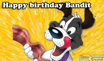 Shane_graytail-bbday