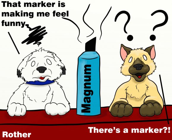 rother-marker_high_copy