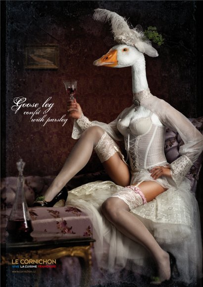 Anonymous-cornichongoose