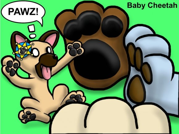Baby_Cheetah-blitzPawz