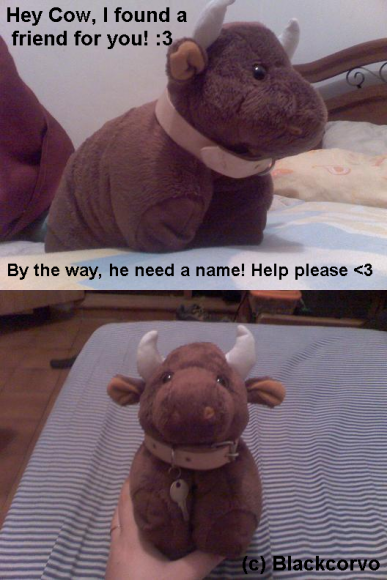 Blackcorvo-Blackcorvo_friend