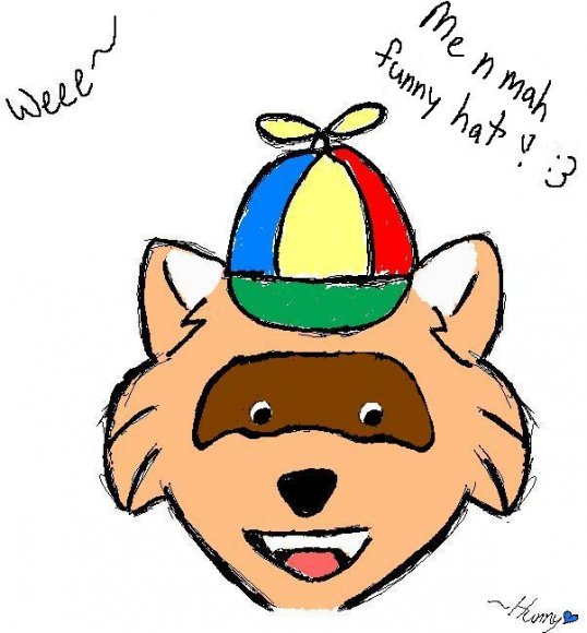 Hunny-TODD_FUNNY_HAT