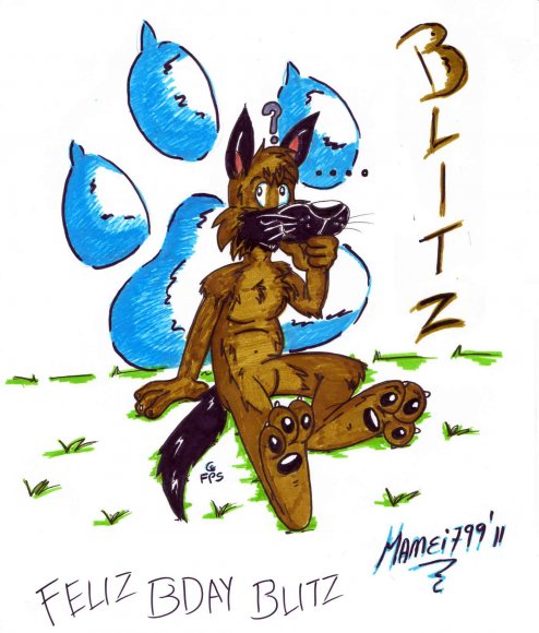 Mamei799-regaloblitz