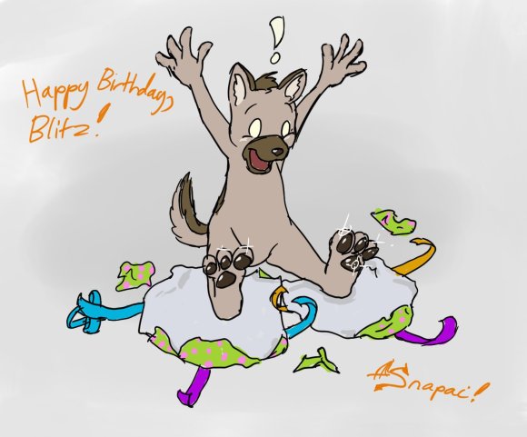 Snapai-birthdayblitz