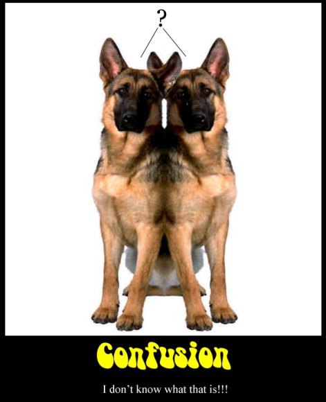 wds0000-ignoranceblitz2