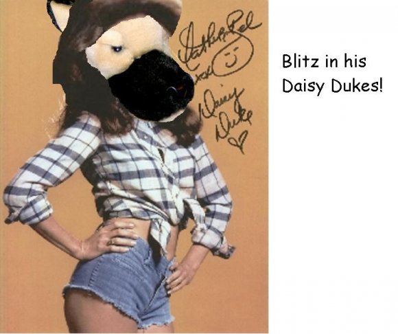 Anonymous-daisy_blitz