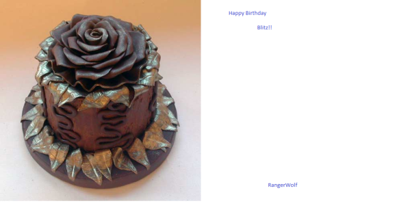Rangerwolf-1298865600.rangerwolf30_blitz_birthday