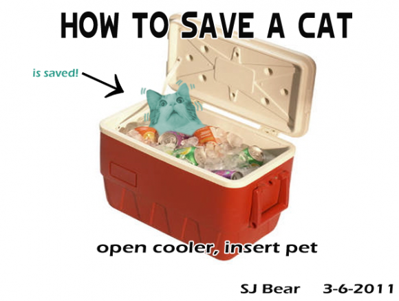 SJ-Bear-sjbear2-saved