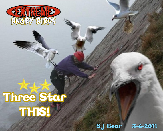 SJ-Bear-sjbear3-angrybirds