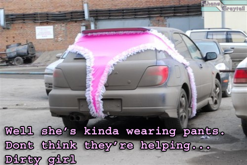 Shane_Graytail-Carknickers