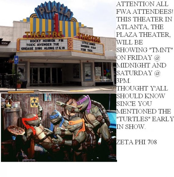 Zeta_Phi_708-PLAZATURTLESPAWPET