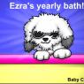 Baby_Cheetah-ezra_bath