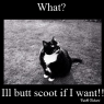 Daichi_Ookami-butt_scoot