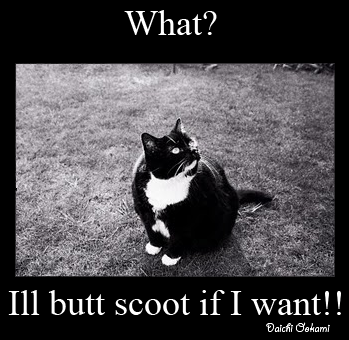 Daichi_Ookami-butt_scoot