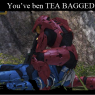 Daichi_Ookami-tea_bagged