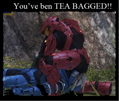 Daichi_Ookami-tea_bagged