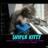 Daxley-sniperkitty